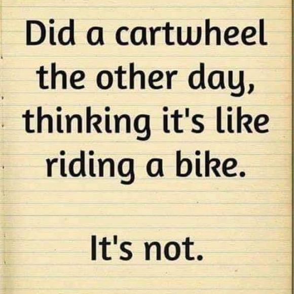 Meet your Posher, Cinder - Picture 2 of 5